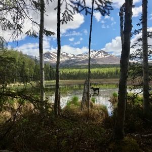 Meet your Posher, Annie